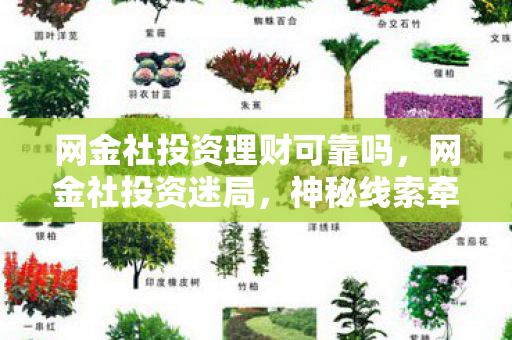 网金社投资理财可靠吗,网金社投资迷局,神秘线索牵出悬案,背后真相令人毛骨悚然! 网金社投资理财可靠吗,网金社投资迷局,神秘线索牵出悬案,背后真相令人毛骨悚然!