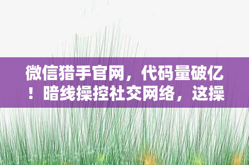 微信猎手官网,代码量破亿!暗线操控社交网络,这操作让人头皮发麻 微信猎手官网,代码量破亿!暗线操控社交网络,这操作让人头皮发麻