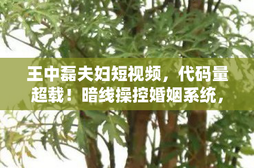 王中磊夫妇短视频，代码量超载！暗线操控婚姻系统，这场裸婚让玩家头皮发麻