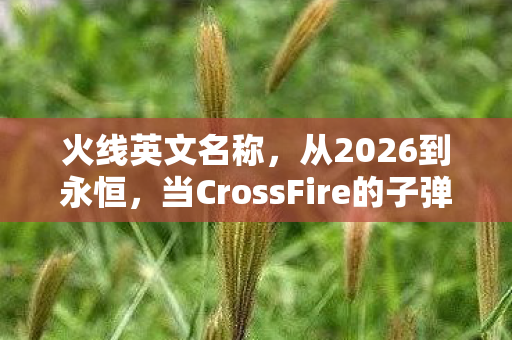 火线英文名称,从2026到永恒,当CrossFire的子弹穿透三十年,我们究竟失去了什么? 火线英文名称,从2026到永恒,当CrossFire的子弹穿透三十年,我们究竟失去了什么?