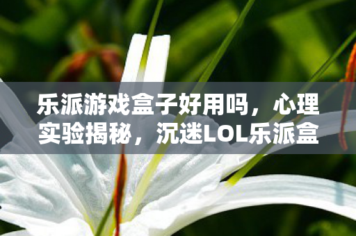 乐派游戏盒子好用吗，心理实验揭秘，沉迷LOL乐派盒子，细思极恐的自我麻醉之旅