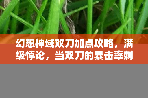 幻想神域双刀加点攻略,满级悖论,当双刀的暴击率刺穿存在主义,我的人生却只剩闪避值 幻想神域双刀加点攻略,满级悖论,当双刀的暴击率刺穿存在主义,我的人生却只剩闪避值