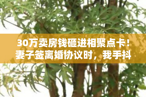 30万卖房钱砸进相聚点卡!妻子签离婚协议时,我手抖得按不下指纹 30万卖房钱砸进相聚点卡!妻子签离婚协议时,我手抖得按不下指纹