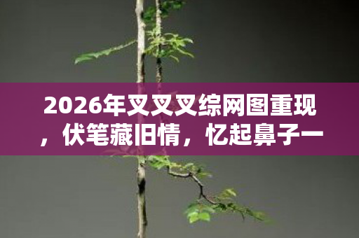 2026年叉叉叉综网图重现,伏笔藏旧情,忆起鼻子一酸 2026年叉叉叉综网图重现,伏笔藏旧情,忆起鼻子一酸