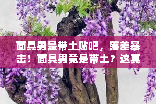 面具男是带土贴吧,落差暴击!面具男竟是带土?这真相让我笑着笑着就破防了! 面具男是带土贴吧,落差暴击!面具男竟是带土?这真相让我笑着笑着就破防了!