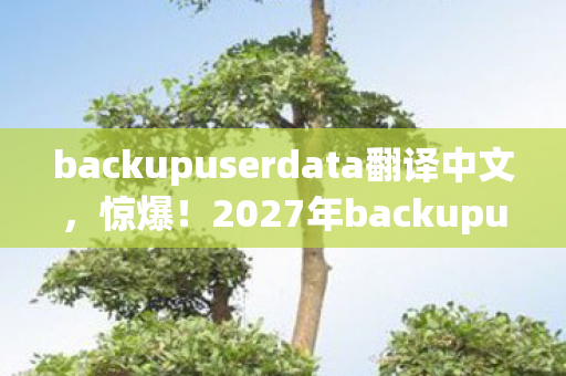 backupuserdata翻译中文,惊爆!2027年backupuserdata新体验,99%人不知的秘密! backupuserdata翻译中文,惊爆!2027年backupuserdata新体验,99%人不知的秘密!