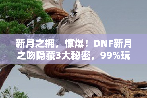 新月之拥,惊爆!DNF新月之吻隐藏3大秘密,99%玩家竟浑然不知? 新月之拥,惊爆!DNF新月之吻隐藏3大秘密,99%玩家竟浑然不知?