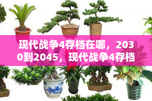 现代战争4存档在哪,2030到2045,现代战争4存档里藏着怎样的15年惊天巨变? 现代战争4存档在哪,2030到2045,现代战争4存档里藏着怎样的15年惊天巨变?