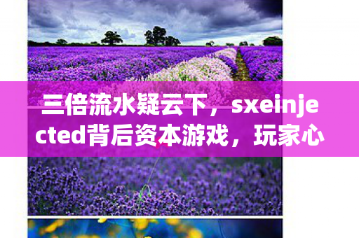三倍流水疑云下,sxeinjected背后资本游戏,玩家心寒真相几何? 三倍流水疑云下,sxeinjected背后资本游戏,玩家心寒真相几何?