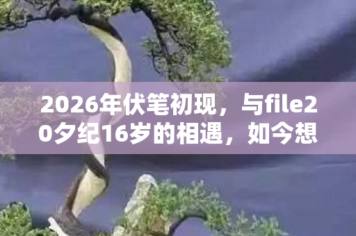 2026年伏笔初现,与file20夕纪16岁的相遇,如今想起鼻子一酸 2026年伏笔初现,与file20夕纪16岁的相遇,如今想起鼻子一酸