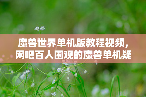 魔兽世界单机版教程视频,网吧百人围观的魔兽单机疑云,当大神的眼泪砸碎键盘,我绷不住了 魔兽世界单机版教程视频,网吧百人围观的魔兽单机疑云,当大神的眼泪砸碎键盘,我绷不住了