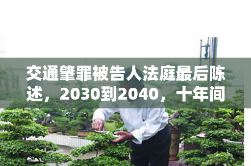 交通肇罪被告人法庭最后陈述,2030到2040,十年间,交通肇事案背后的惊天逆转与人性拷问 交通肇罪被告人法庭最后陈述,2030到2040,十年间,交通肇事案背后的惊天逆转与人性拷问