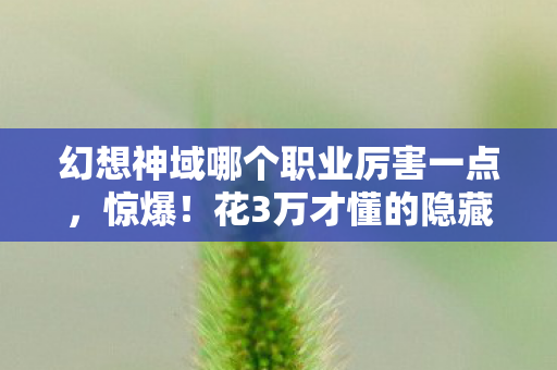 幻想神域哪个职业厉害一点,惊爆!花3万才懂的隐藏真相,幻想神域最强职业竟藏着这层隐情,吓一跳! 幻想神域哪个职业厉害一点,惊爆!花3万才懂的隐藏真相,幻想神域最强职业竟藏着这层隐情,吓一跳!