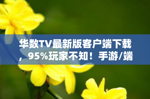 华数TV最新版客户端下载,95%玩家不知!手游/端游/主机同机制,操控体验竟差300%? 华数TV最新版客户端下载,95%玩家不知!手游/端游/主机同机制,操控体验竟差300%?
