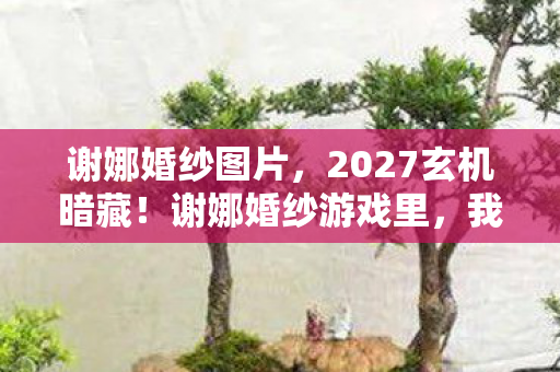谢娜婚纱图片,2027玄机暗藏!谢娜婚纱游戏里,我为何沉默于这场虚拟盛宴? 谢娜婚纱图片,2027玄机暗藏!谢娜婚纱游戏里,我为何沉默于这场虚拟盛宴?