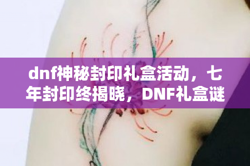 dnf神秘封印礼盒活动,七年封印终揭晓,DNF礼盒谜面藏,泪目关服倒计时 dnf神秘封印礼盒活动,七年封印终揭晓,DNF礼盒谜面藏,泪目关服倒计时
