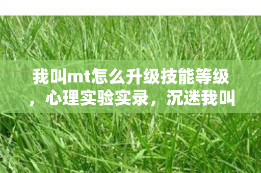 我叫mt怎么升级技能等级,心理实验实录,沉迷我叫MT升级技能背后的细思极恐自我麻醉 我叫mt怎么升级技能等级,心理实验实录,沉迷我叫MT升级技能背后的细思极恐自我麻醉