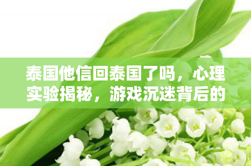 泰国他信回泰国了吗,心理实验揭秘,游戏沉迷背后的再来一局多巴胺陷阱,细思极恐! 泰国他信回泰国了吗,心理实验揭秘,游戏沉迷背后的再来一局多巴胺陷阱,细思极恐!