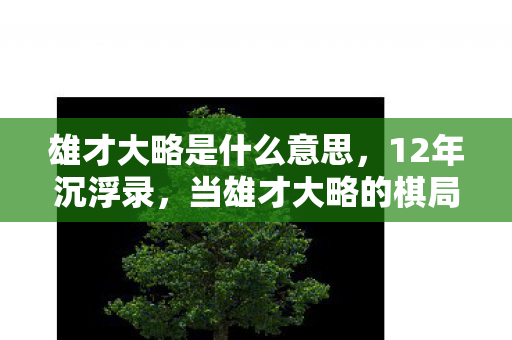 雄才大略是什么意思,12年沉浮录,当雄才大略的棋局只剩最后一颗棋子,泪目收官 雄才大略是什么意思,12年沉浮录,当雄才大略的棋局只剩最后一颗棋子,泪目收官
