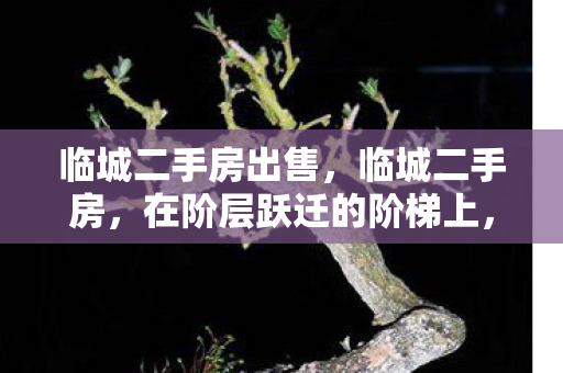 临城二手房出售,临城二手房,在阶层跃迁的阶梯上,自由选择竟是命运最深的悖论? 临城二手房出售,临城二手房,在阶层跃迁的阶梯上,自由选择竟是命运最深的悖论?