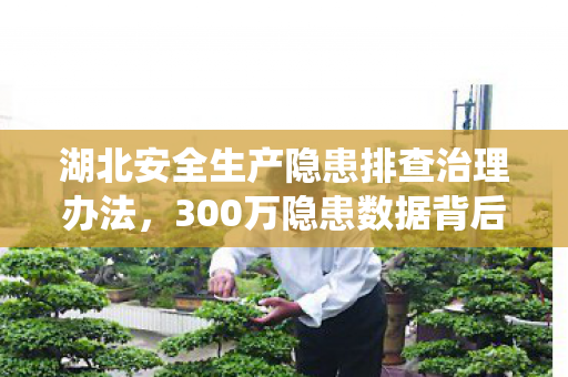 湖北安全生产隐患排查治理办法，300万隐患数据背后，湖北安全员的深夜狂飙，谁在系统里埋了颗定时炸弹？