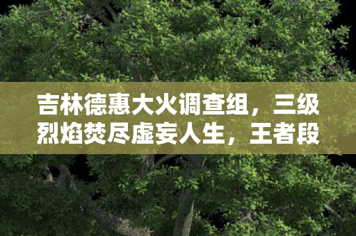 吉林德惠大火调查组,三级烈焰焚尽虚妄人生,王者段位难掩现实废墟的灵魂震颤 吉林德惠大火调查组,三级烈焰焚尽虚妄人生,王者段位难掩现实废墟的灵魂震颤