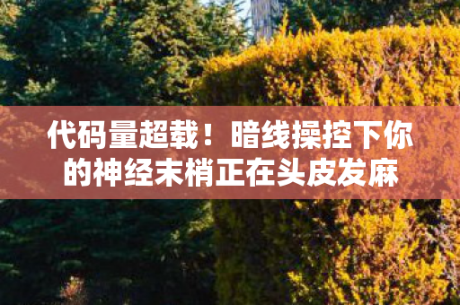 代码量超载!暗线操控下你的神经末梢正在头皮发麻 代码量超载!暗线操控下你的神经末梢正在头皮发麻