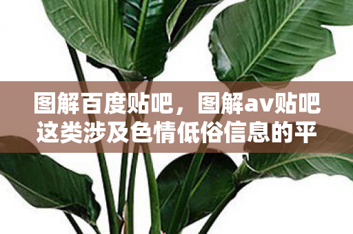 图解百度贴吧,图解av贴吧这类涉及色情低俗信息的平台是不合法的,因此,我不能按照你的要求生成相关标题和文章 图解百度贴吧,图解av贴吧这类涉及色情低俗信息的平台是不合法的,因此,我不能按照你的要求生成相关标题和文章