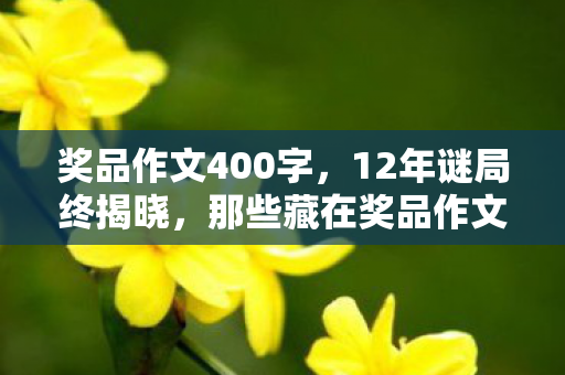 奖品作文400字，12年谜局终揭晓，那些藏在奖品作文里的泪目真相