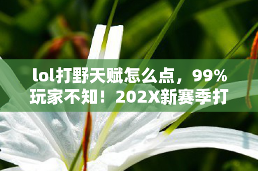 lol打野天赋怎么点，99%玩家不知！202X新赛季打野天赋隐藏机制，上分密码竟在这？
