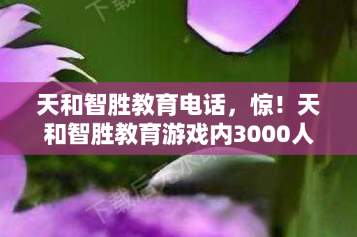 天和智胜教育电话,惊!天和智胜教育游戏内3000人深陷等级谜团集体破防! 天和智胜教育电话,惊!天和智胜教育游戏内3000人深陷等级谜团集体破防!