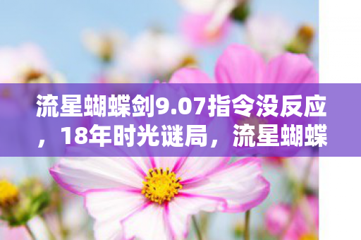流星蝴蝶剑9.07指令没反应，18年时光谜局，流星蝴蝶剑9.07指令背后的江湖泪目史