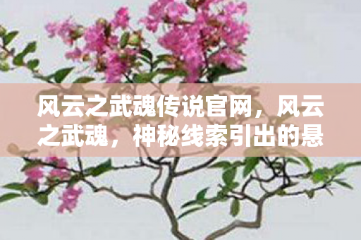 风云之武魂传说官网，风云之武魂，神秘线索引出的悬案，背后真相令人毛骨悚然