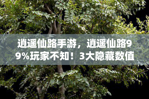逍遥仙路手游,逍遥仙路99%玩家不知!3大隐藏数值暗改,爆率暴跌真相曝光! 逍遥仙路手游,逍遥仙路99%玩家不知!3大隐藏数值暗改,爆率暴跌真相曝光!