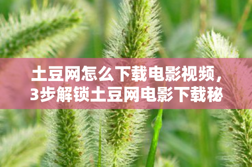 土豆网怎么下载电影视频，3步解锁土豆网电影下载秘籍！99%玩家不知道的极速缓存心得