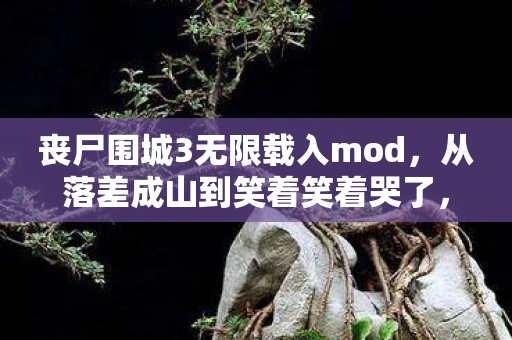 丧尸围城3无限载入mod，从落差成山到笑着笑着哭了，无限载入背后的真相太扎心