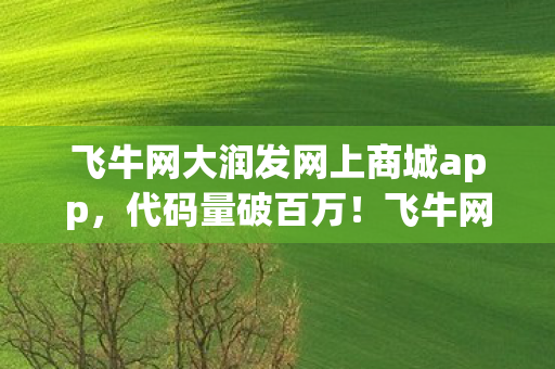 飞牛网大润发网上商城app，代码量破百万！飞牛网暗线交易竟让我在游戏指挥台头皮发麻