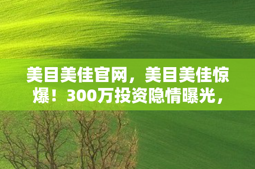美目美佳官网，美目美佳惊爆！300万投资隐情曝光，结果让人吓一跳！
