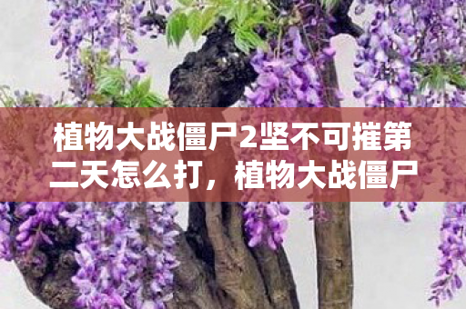 植物大战僵尸2坚不可摧第二天怎么打,植物大战僵尸2坚不可摧第二天,衍生数破亿,破圈联动意想不到! 植物大战僵尸2坚不可摧第二天怎么打,植物大战僵尸2坚不可摧第二天,衍生数破亿,破圈联动意想不到!