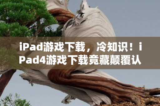 iPad游戏下载，冷知识！iPad4游戏下载竟藏颠覆认知的秘密，真相让人目瞪口呆！