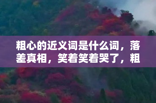 粗心的近义词是什么词,落差真相,笑着笑着哭了,粗心竟是这游戏精心的代名词? 粗心的近义词是什么词,落差真相,笑着笑着哭了,粗心竟是这游戏精心的代名词?