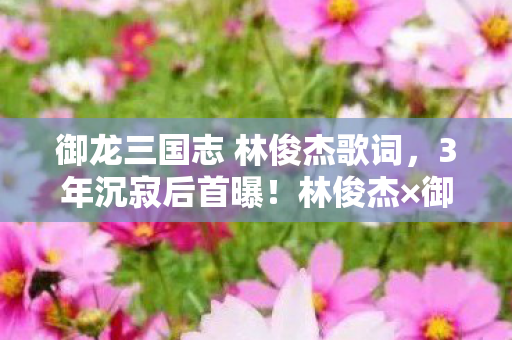 御龙三国志 林俊杰歌词,3年沉寂后首曝!林俊杰×御龙三国志,97%玩家没发现的暴利数据链 御龙三国志 林俊杰歌词,3年沉寂后首曝!林俊杰×御龙三国志,97%玩家没发现的暴利数据链
