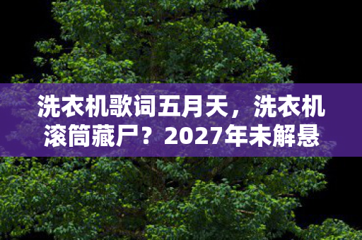 洗衣机歌词五月天,洗衣机滚筒藏尸?2027年未解悬案与我的毛骨悚然自白 洗衣机歌词五月天,洗衣机滚筒藏尸?2027年未解悬案与我的毛骨悚然自白