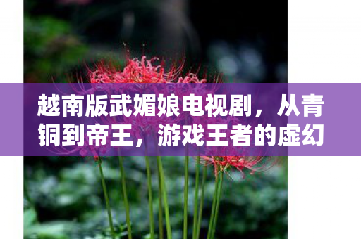 越南版武媚娘电视剧,从青铜到帝王,游戏王者的虚幻王座与现实废墟的灵魂震颤 越南版武媚娘电视剧,从青铜到帝王,游戏王者的虚幻王座与现实废墟的灵魂震颤