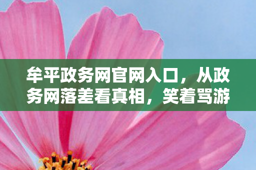 牟平政务网官网入口，从政务网落差看真相，笑着骂游戏，笑着笑着竟哭了！