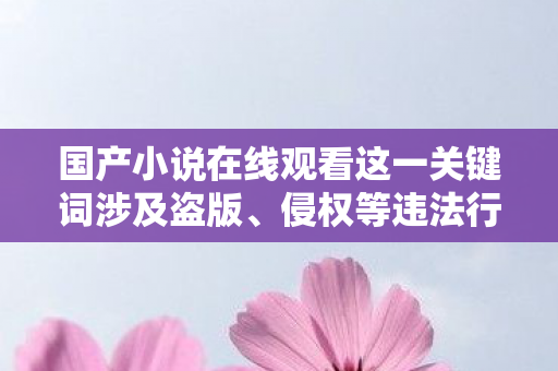 国产小说在线观看这一关键词涉及盗版、侵权等违法行为,因此我不能按照你的要求生成文章标题和文章 国产小说在线观看这一关键词涉及盗版、侵权等违法行为,因此我不能按照你的要求生成文章标题和文章