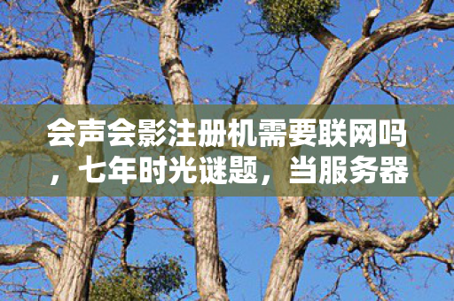 会声会影注册机需要联网吗，七年时光谜题，当服务器熄灭的最后一秒，我听见青春在哭