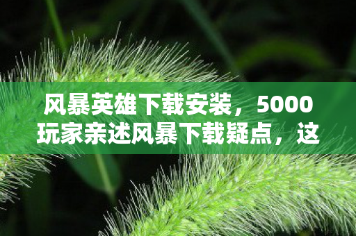 风暴英雄下载安装，5000玩家亲述风暴下载疑点，这操作，大神都绷不住要掀桌！