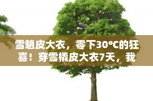 雪魈皮大衣，零下30℃的狂喜！穿雪橇皮大衣7天，我悟了什么叫行走的暖炉