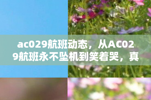 ac029航班动态，从AC029航班永不坠机到笑着哭，真相揭晓时，落差感拉满！